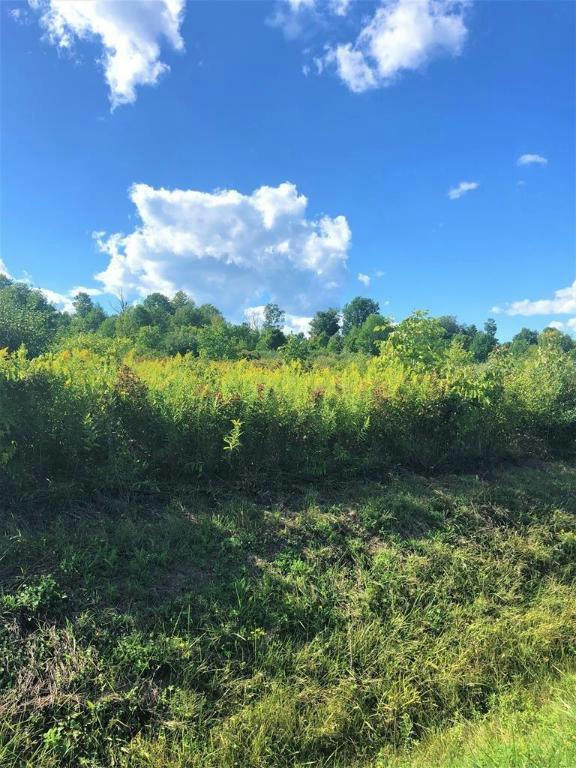 0 DEMUNN ROAD LOT 3, BEAVER DAMS, NY 14812 Vacant Land For Sale MLS IB407444 RE/MAX